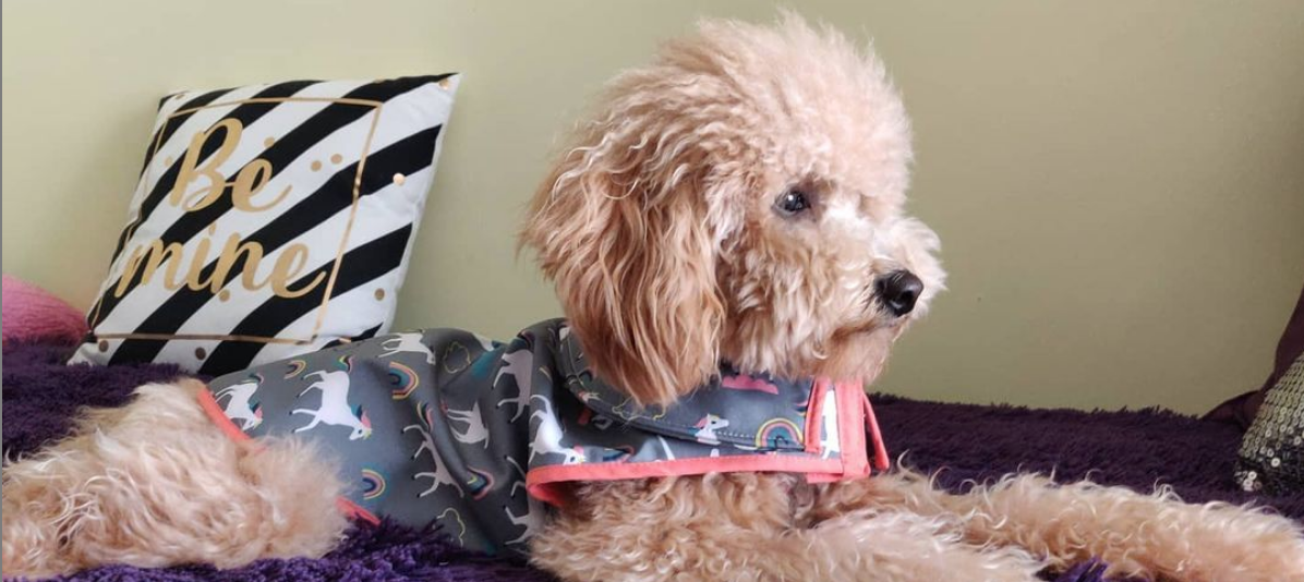 Captura de pantalla 2021-09-01 a las 12.08.56